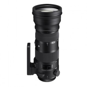 Sigma | 150-600mm F5.0-6.3 DG OS HSM | Nikon [CONTEMPORARY]
